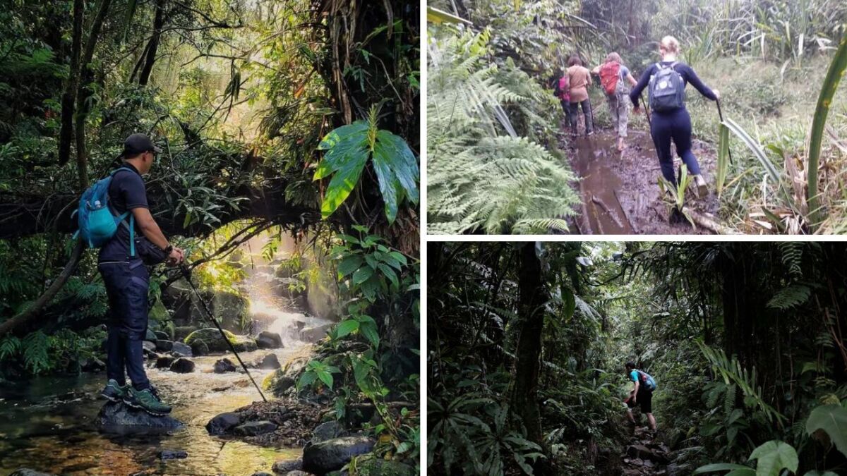 Salak Mountain Jungle Trekking with Java Private Tour
