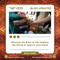 Discover the Elixir of Life Explore the World of Jamu in Java Island