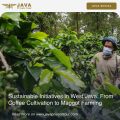 Sustainable Initiatives in West Java- From Coffee Cultivation to Maggot Farming