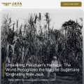 Unraveling Pasuruan’s Heritage- The World Recognizes the Magical Sugarcane Originating from Java