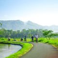 Exploring Java's Countryside- Cycling Through the Heart of Yogyakarta with Java Private Tour