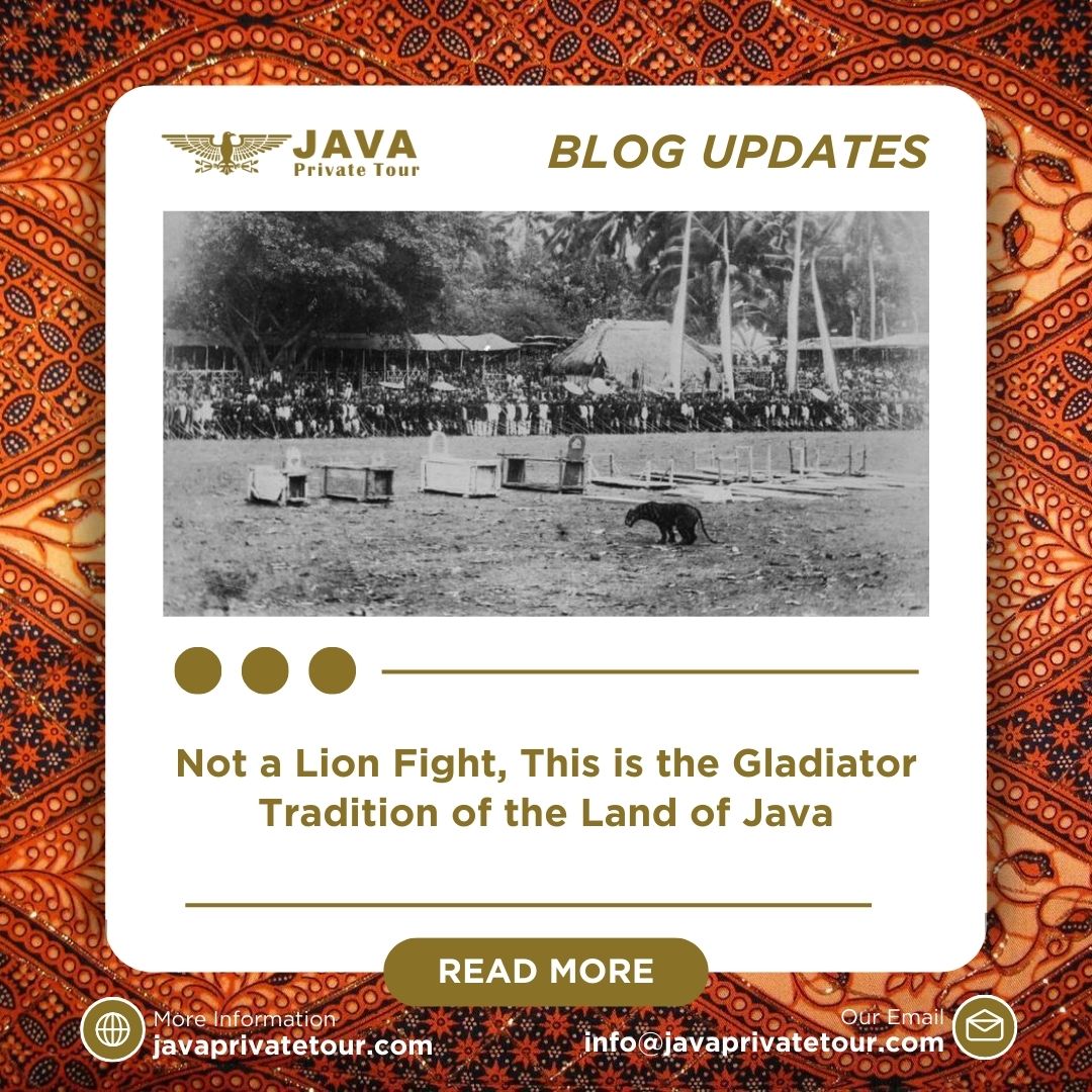 Not a Lion Fight, This is the Gladiator Tradition of the Land of Java