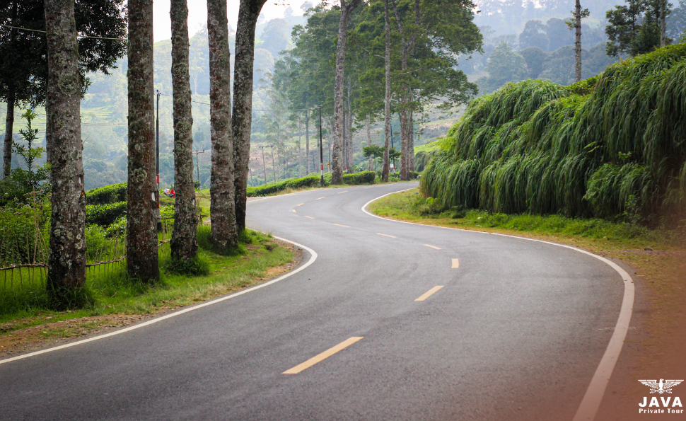 Explore the Enchanting Beauty of Ciwidey, Bandung Your Guide to an Unforgettable Adventure