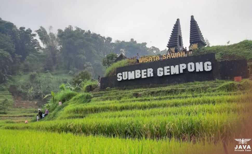 Sumber Gempong Rice Field Tourism