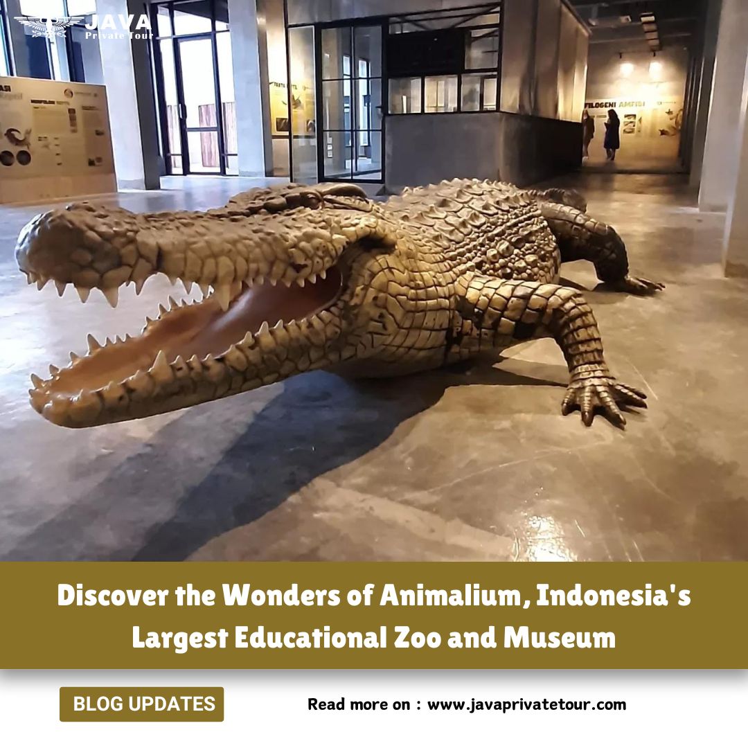 Discover the Wonders of Animalium, Indonesia's Largest Educational Zoo and Museum