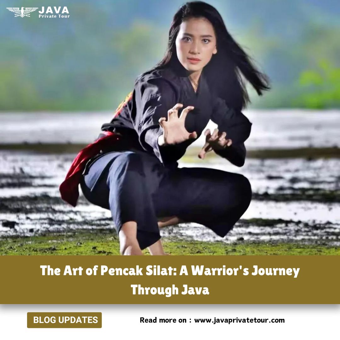 The Art of Pencak Silat- A Warrior's Journey Through Java