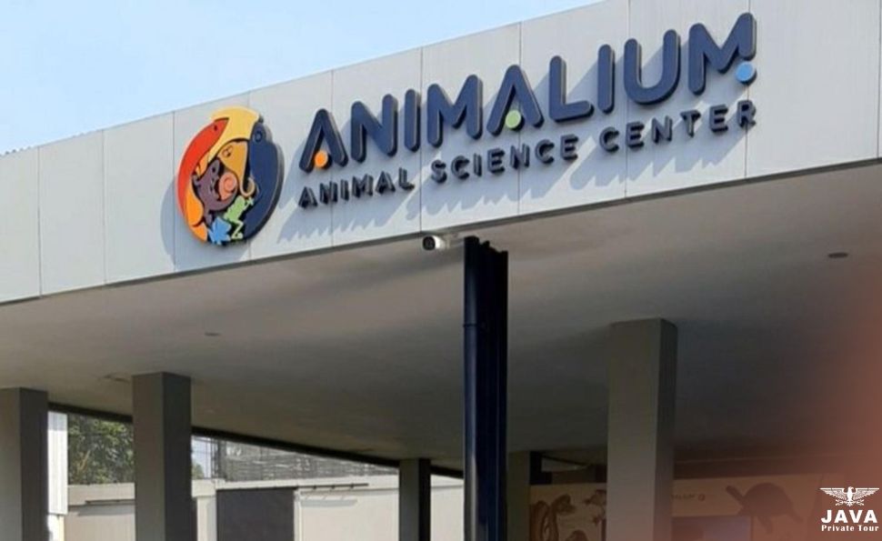 What to Expect at Animalium