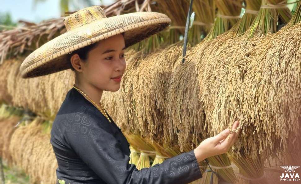 Baduy Farming Activity