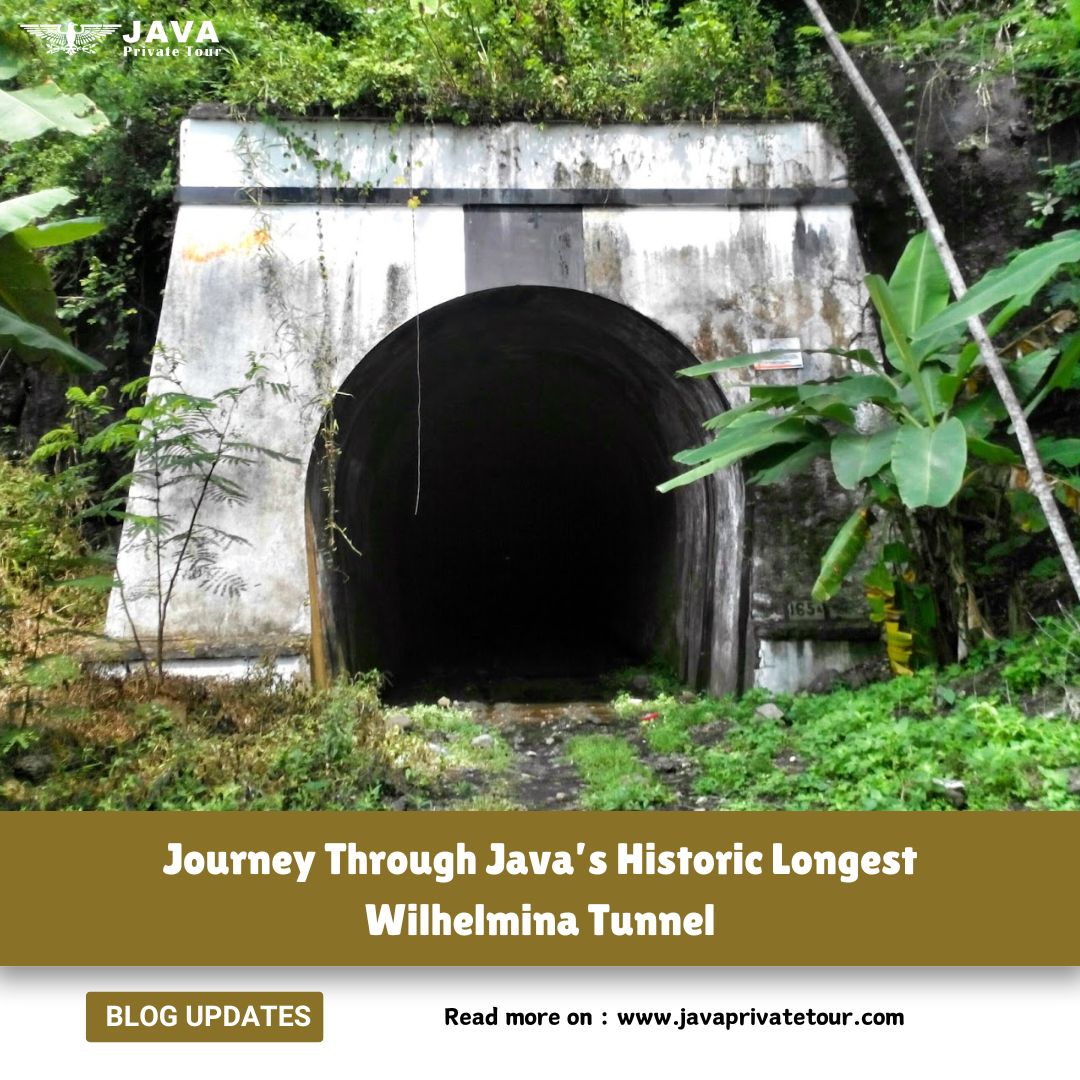 Journey Through Java’s Historic Longest Wilhelmina Tunnel at Pangandaran West Java