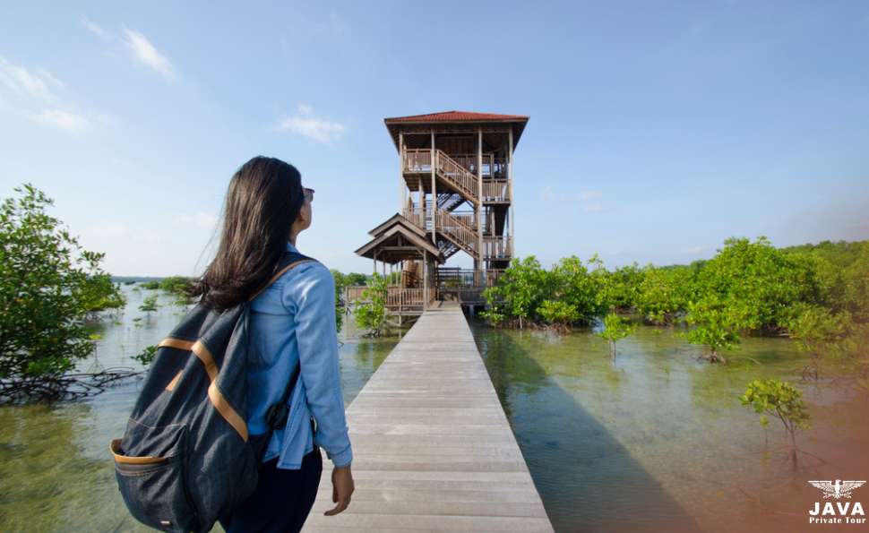 Kemujan Mangrove Forest viewing tower