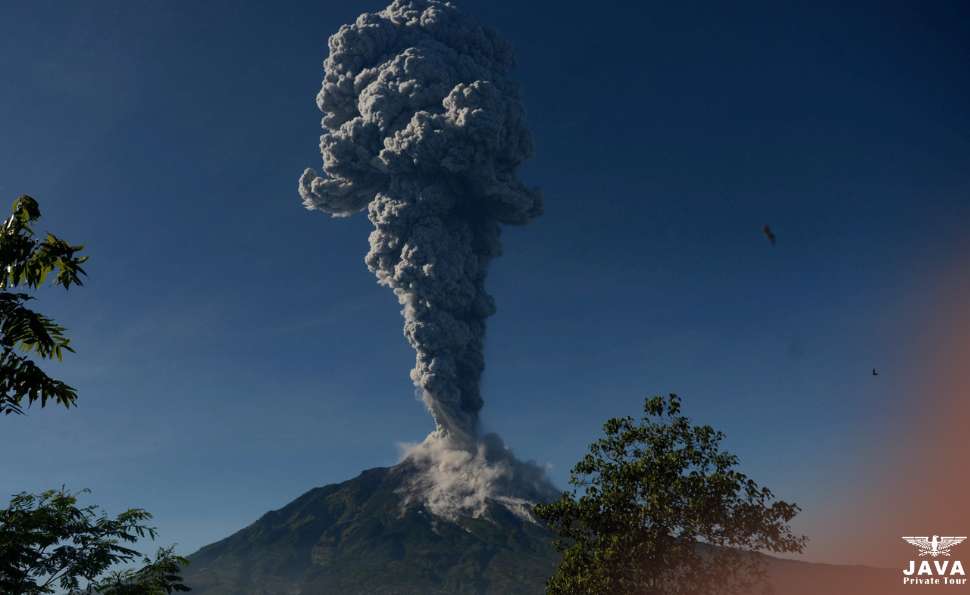 The Merapi Mountain Tragic Night of November 2010