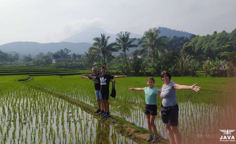 lush rice terraces and vibrant vegetable plantations at Bogor Road Trip