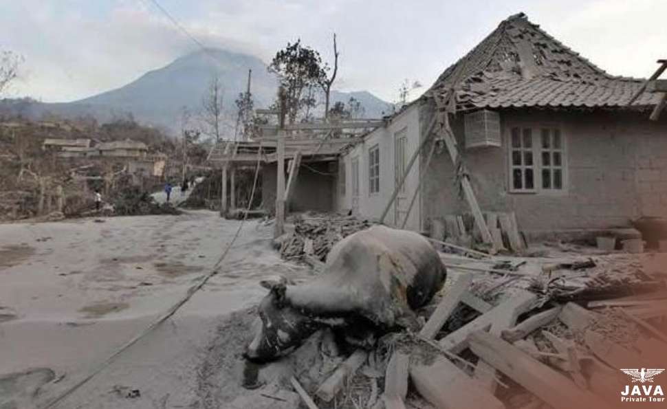 the mount merapi tragic events of November 5th, 2010