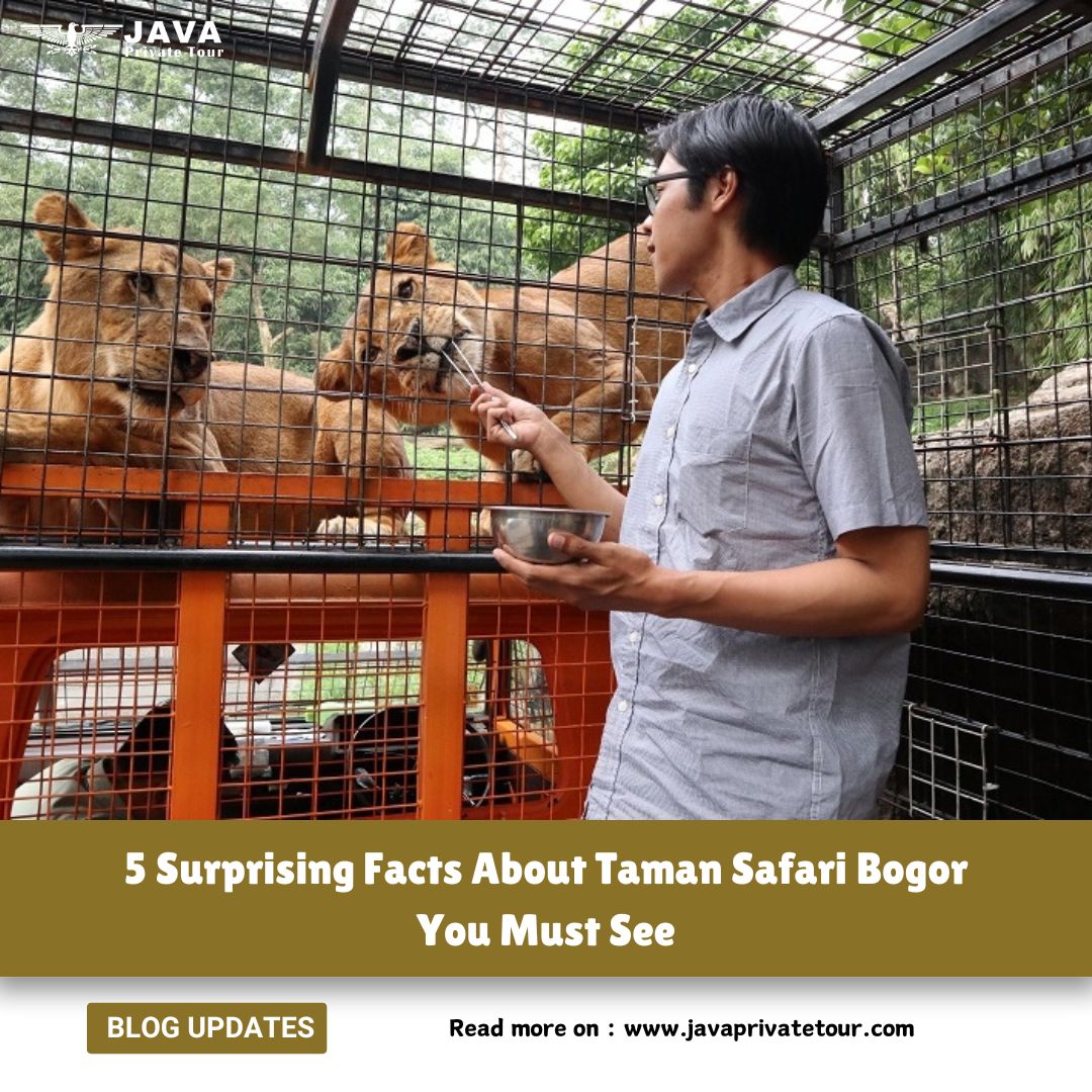 5 Surprising Facts About Taman Safari Bogor You Must See