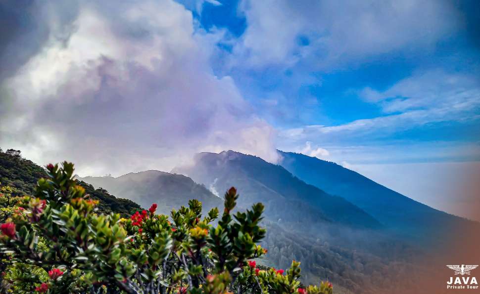 Mount Arjuno