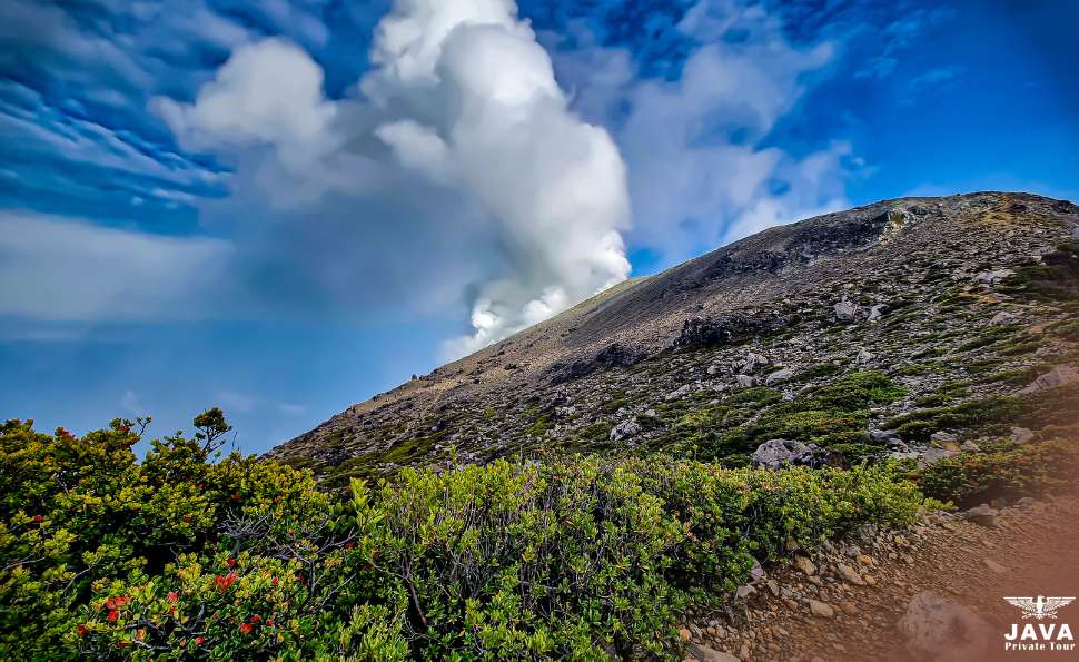 Mount Welirang