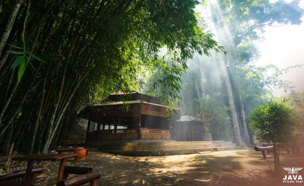 Uncover Local Wisdom in Sanankerto’s Bamboo Forest