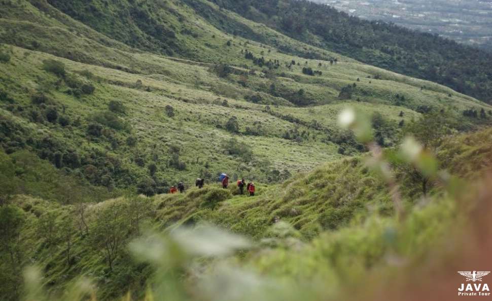 Why Mount Kembang Should Be Your Next Hiking Destination