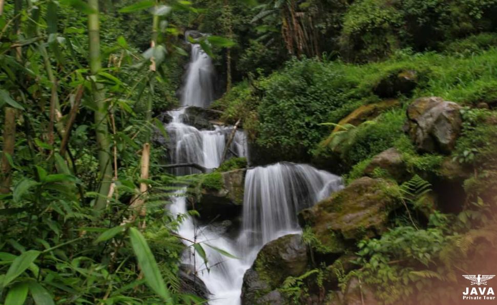 Escape to Jumog Putri the Most Peaceful Spot in Java