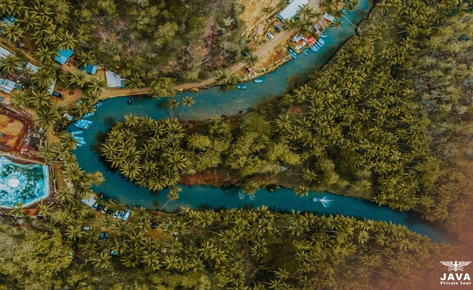 Discover the Amazon of Java at Maron River Pacitan