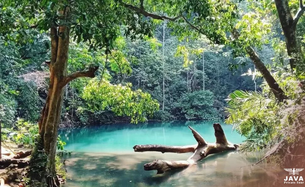 The Enchanted Tale of Telaga Buret in East Java