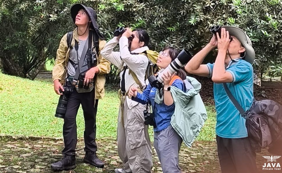 A Day of Birdwatching in Mount Gede Pangrango