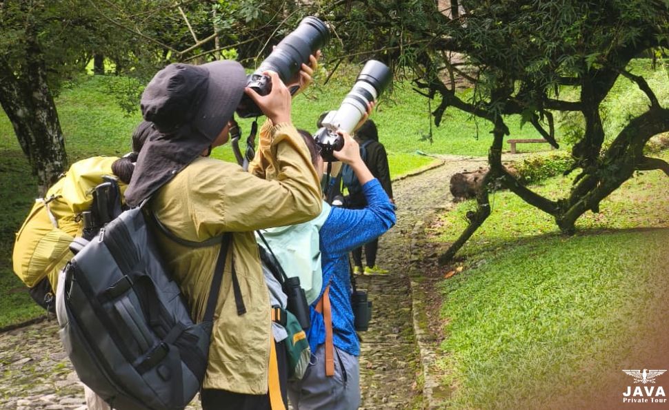 Bird Watching at Mount Gede Pangrango