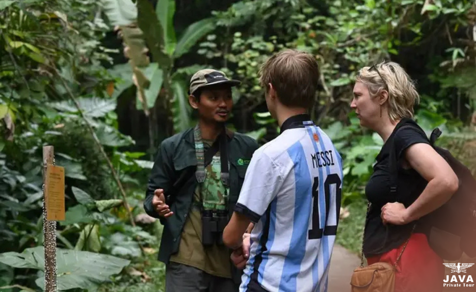 Exploring Jatimulyo Birdwatching Eco Tourism Paradise