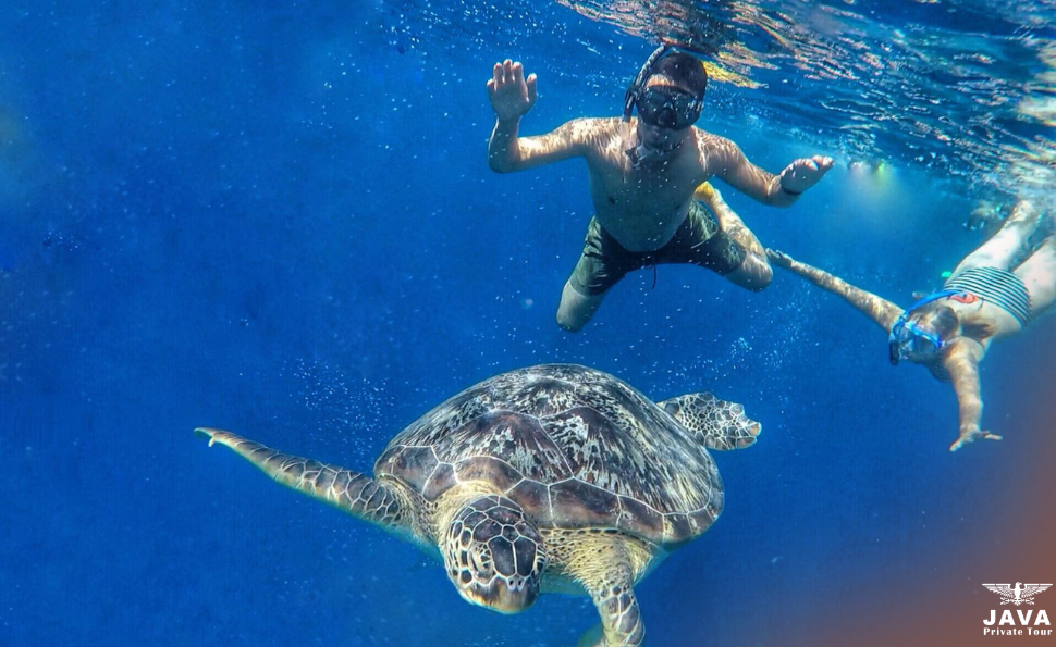 Lombok Safety Tips for Swimming and Snorkeling Like a Local