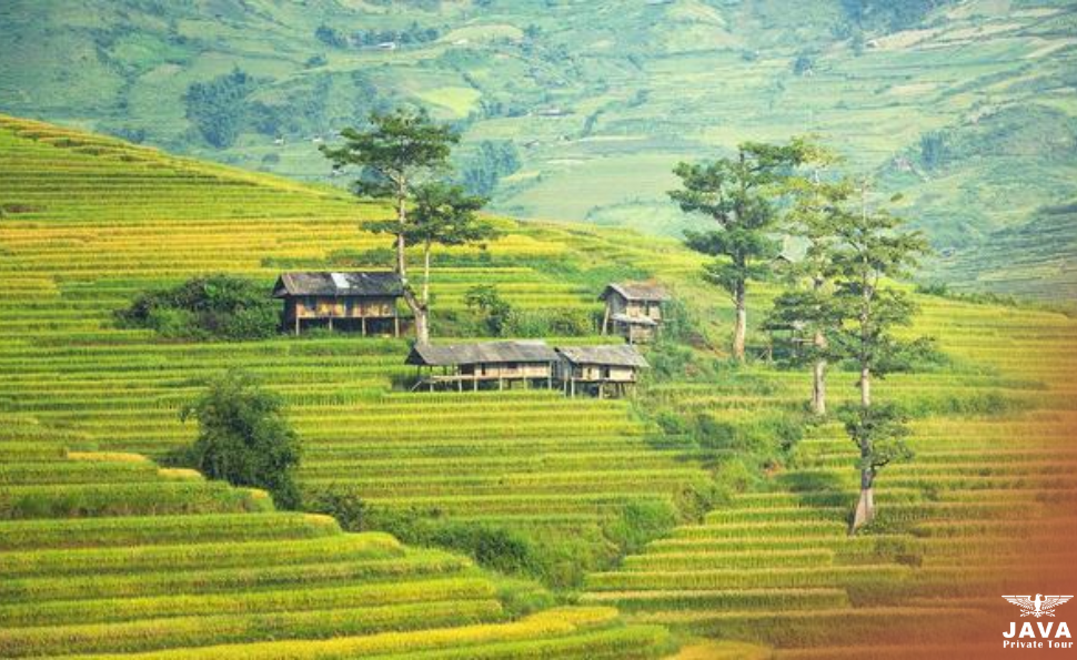 Understanding Bali Beyond Temples and Beaches