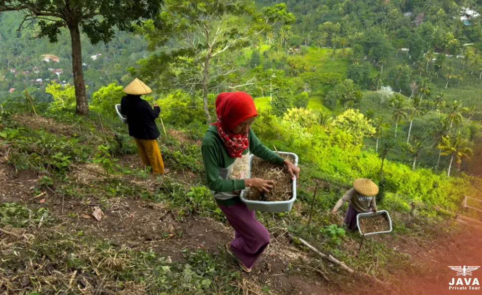 Responsible Travel Practices in Lombok